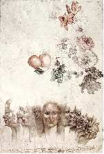 Vanitas VIII, Jiri&nbsp;ANDERLE