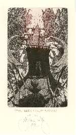 The valley full of misgiving, Albin&nbsp;BRUNOVSKY