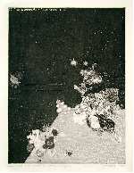 A tiny part from the rich table of nature I, Vladimir&nbsp;GAZOVIC