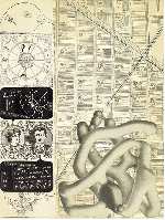 Milkyways & Happenings 5 (The general spinaxis.)