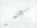 Helicopter Sir George Cayley, �&nbsp;PANAMARENKO