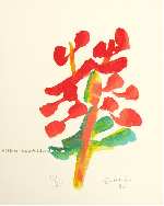 Arbres �crits 01