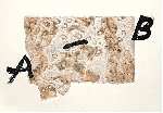 A - B , Antoni&nbsp;TAPIES