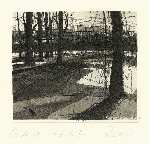 Winter I, Els&nbsp;VOS