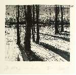 Winter IV, Els&nbsp;VOS