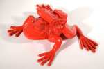 Cloned Red Frog, William&nbsp;SWEETLOVE